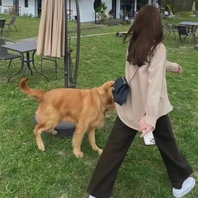 站住!小偷